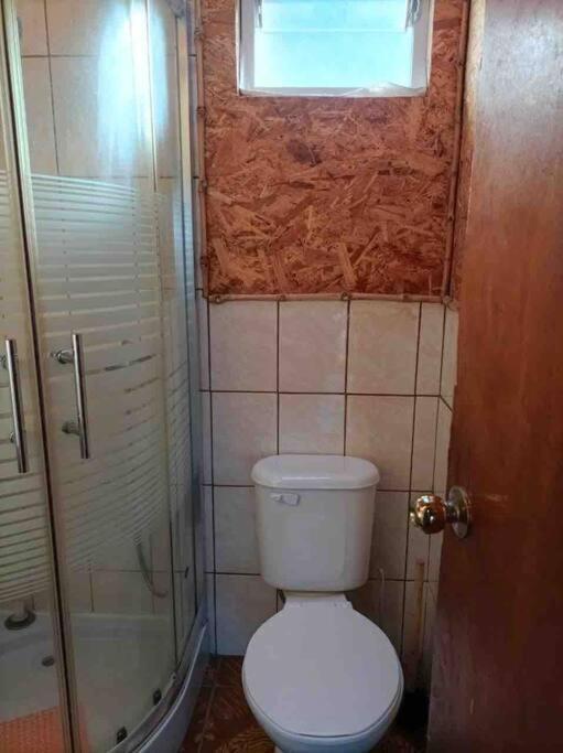 Апартаменты Cabana Pumillahue Rural Анкуд Экстерьер фото
